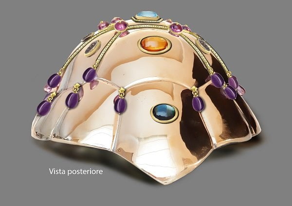 CARAPACE-DEF--BACK-VIEW
