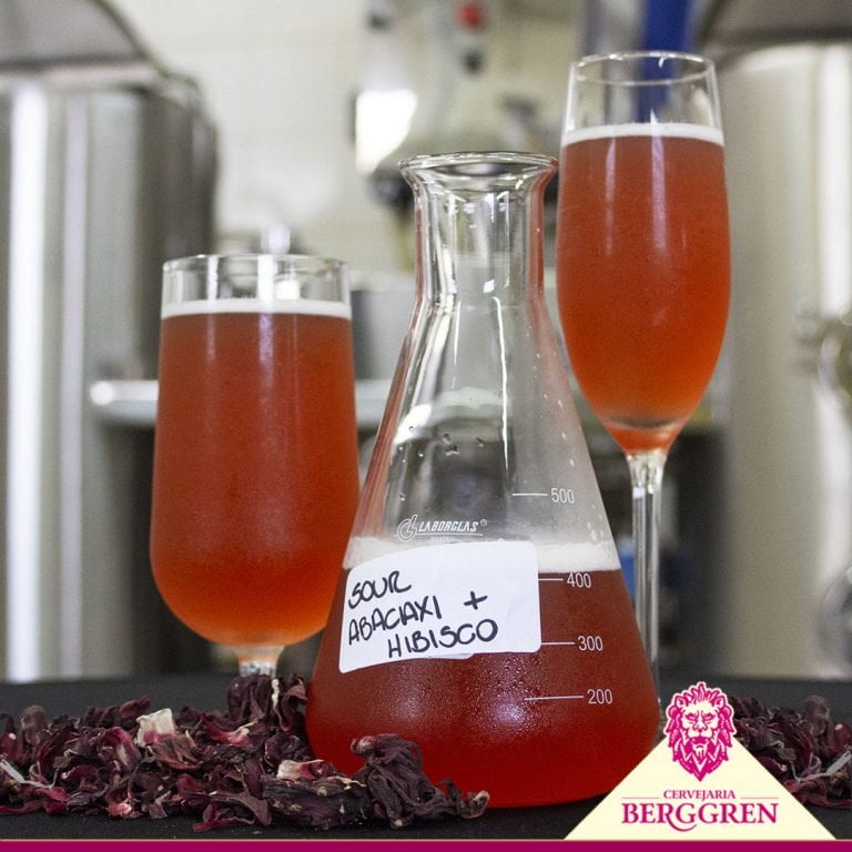 Cervejaria Berggren lança a Sour, sabor de Abacaxi com Hibiscus