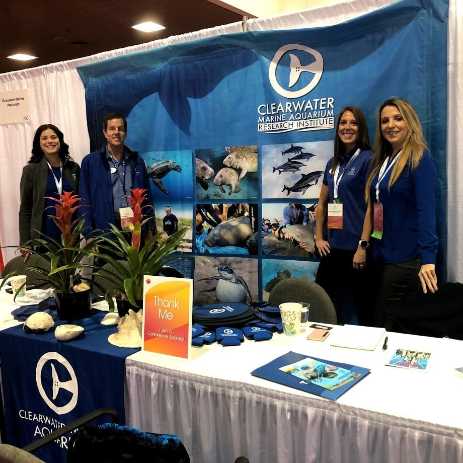 Clearwater-Marine-Aquarium-Agenda-do-Viajante