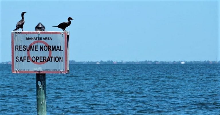 Tampa Bay anuncia abertura