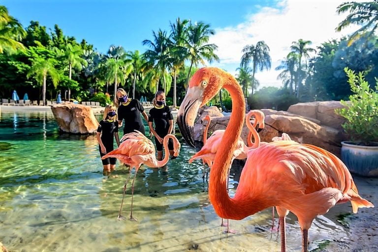 Atrações de verão em Orlando