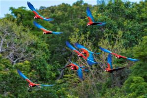 Bonito é destino de ecoturismo