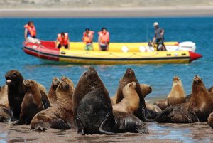Argentina mais acessível do que nunca