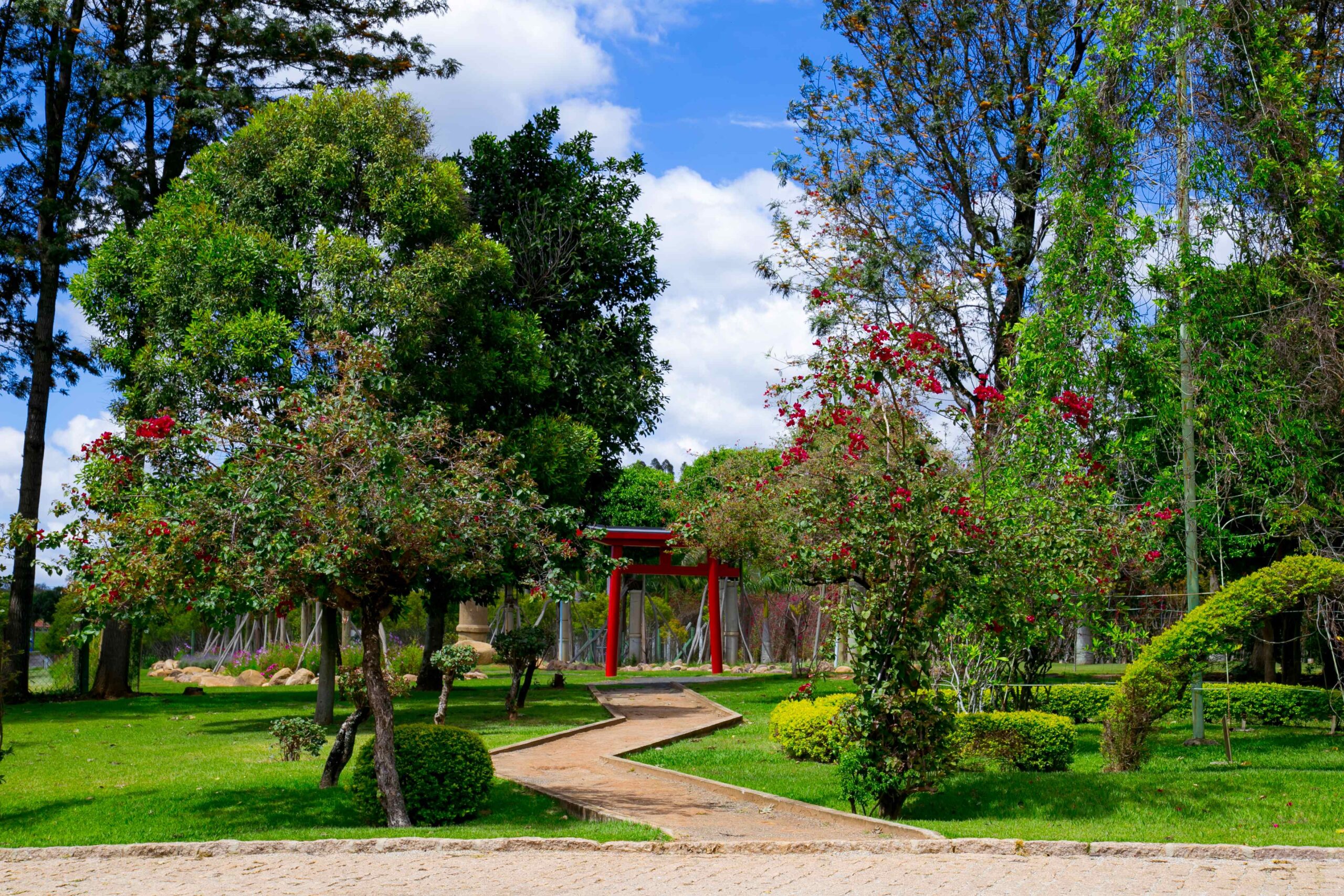 Férias perfeitas no Parque Maeda