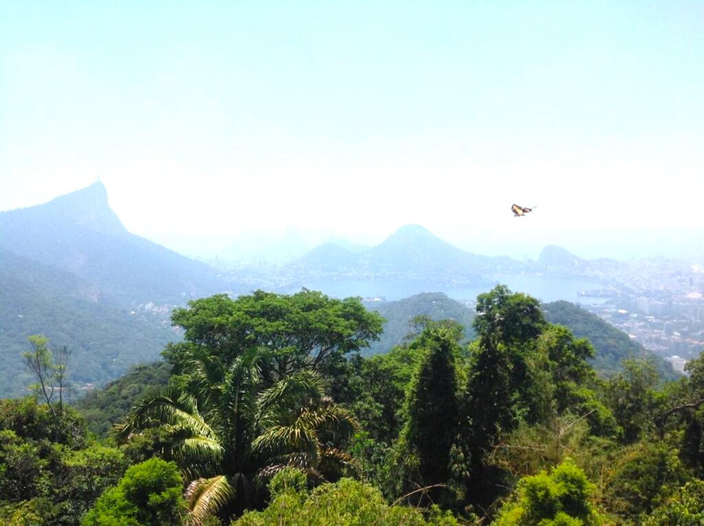Descubra os paraísos naturais do Brasil