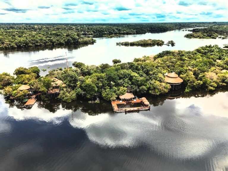 Descubra Manaus