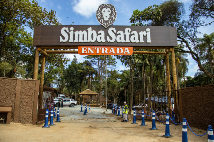 Simba Safari celebra um ano